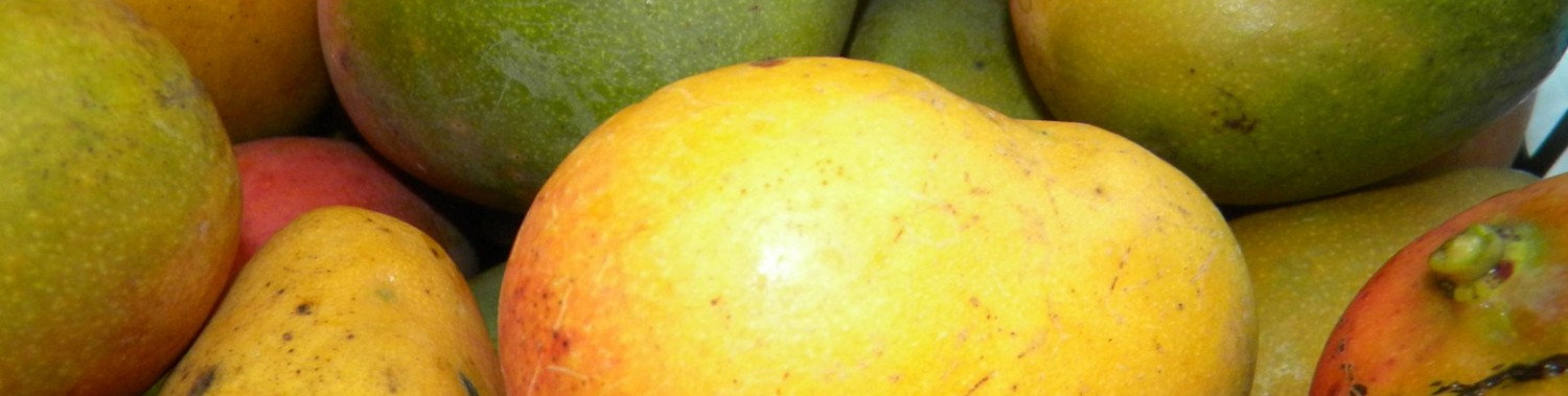 mmmm…….mangoes